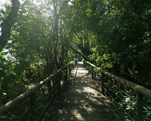 carrosel pag projetos-08