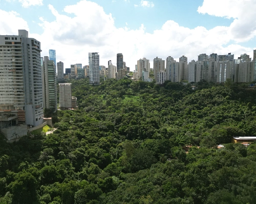 carrosel pag projetos-11