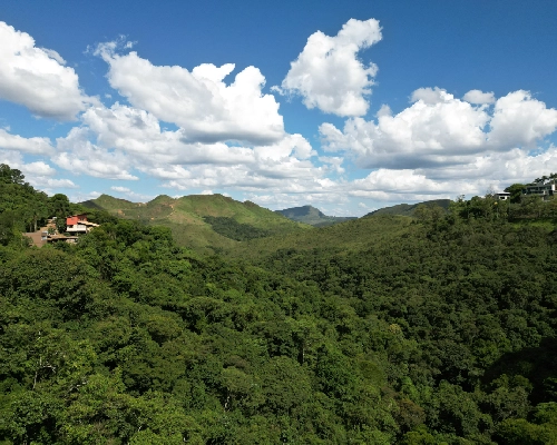 carrosel pag projetos-13