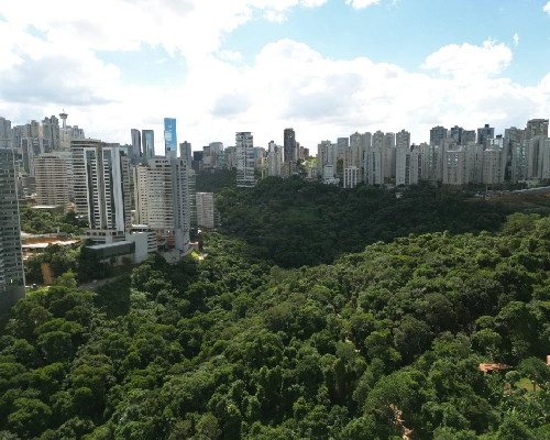 carrosel pag projetos-14